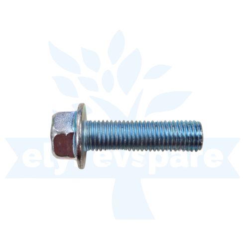 Wholesale NUT [NB32 FOR DISC CAIP] (218) - Low Speed Scooty & EV Parts UP East